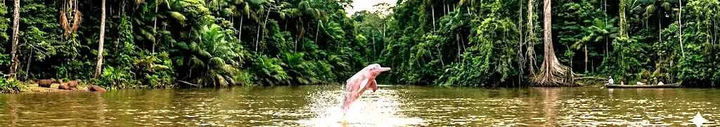 4 days iquitos amazon tour