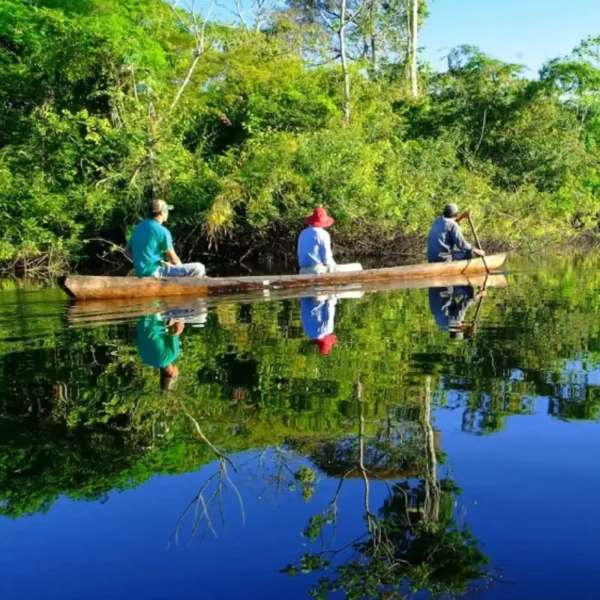 Tour Pacaya Samairia Iquitos Peru