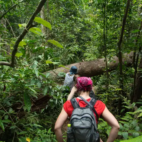 Tour in Jungle from Iquitos, Perú